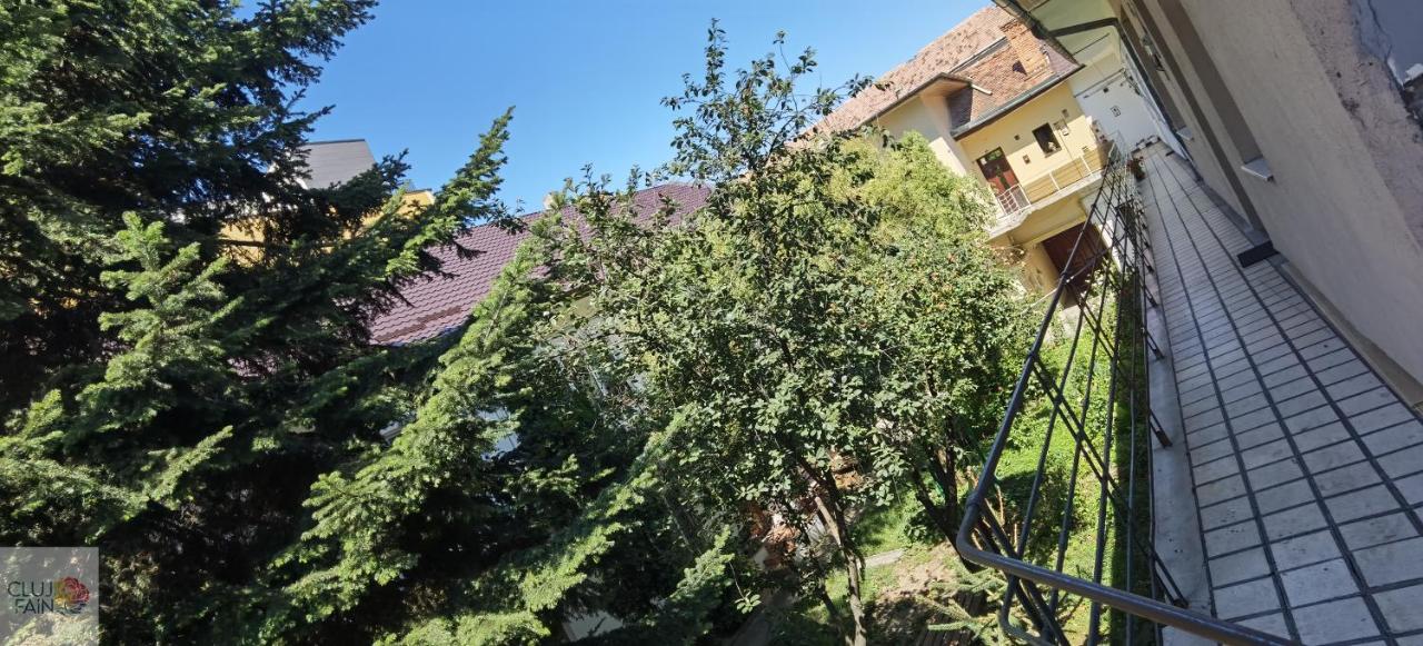 Cluj Fain - B&B