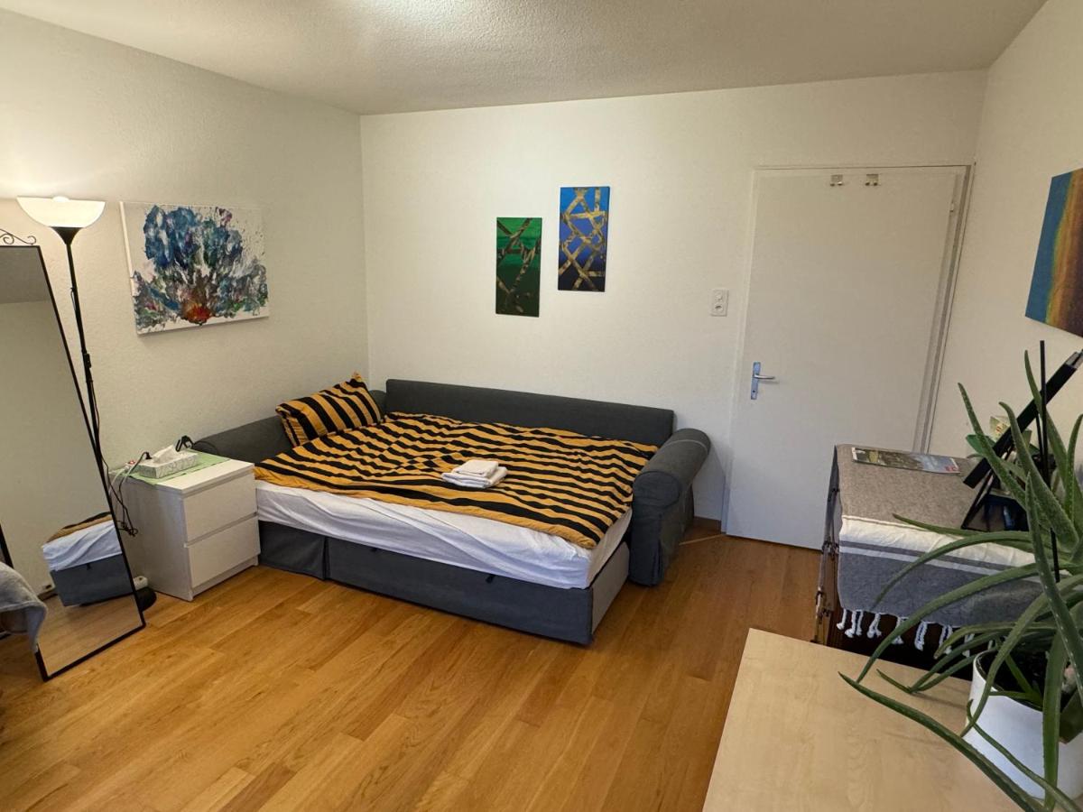 Room 15min from Zurich main station - B&B