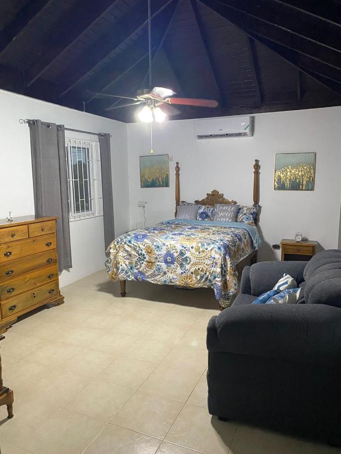 Haven Escape near Montego Bay - Ferienwohnung Merrywood
