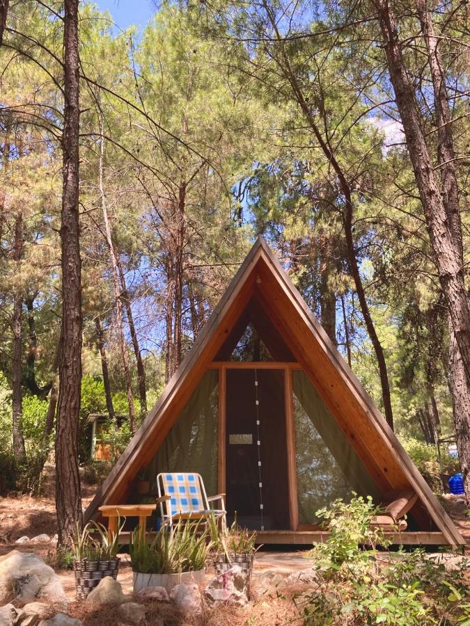 Sens Bungalows - B&B