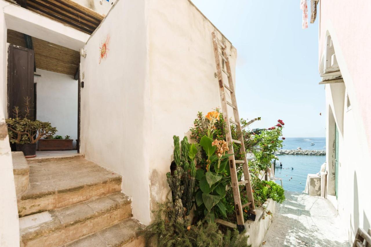 Corricella Hammok - Gioia Apartments - B&B