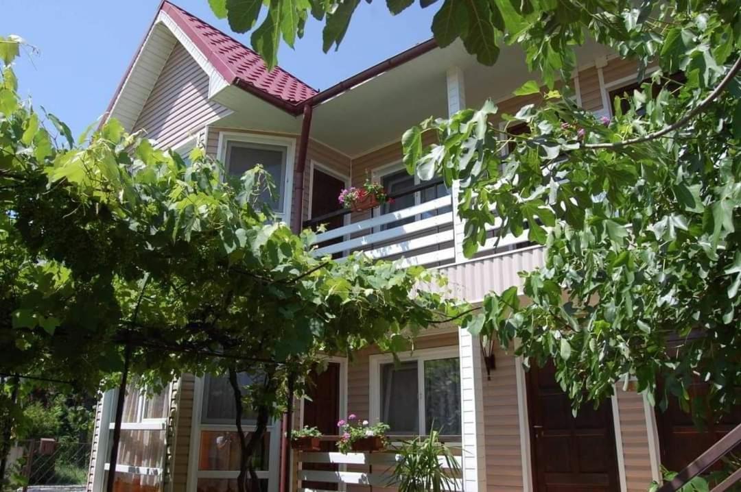 Vila Morena - B&B