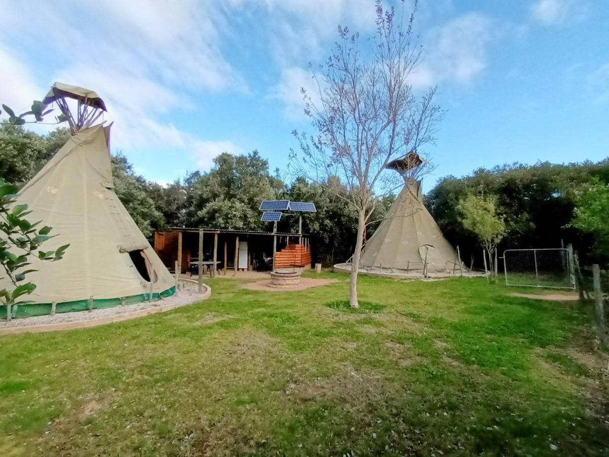 Tent