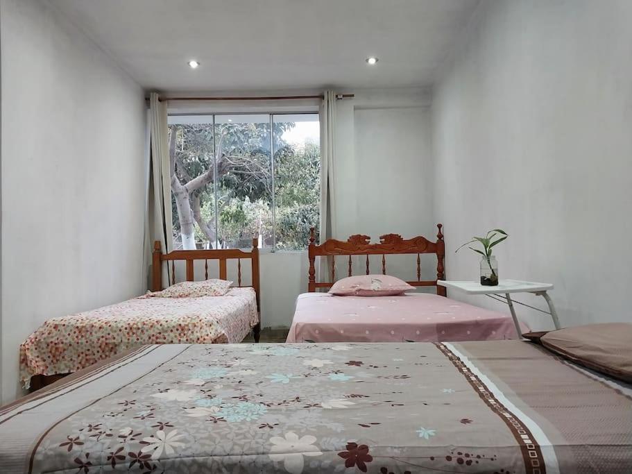 One-Bedroom House