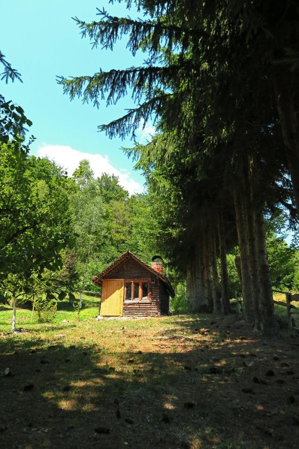 Planinska kuća Palačinka - B&B