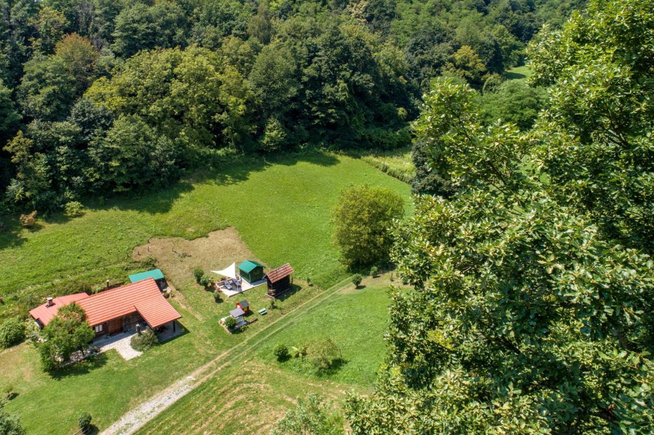 Villa Pepeljuga kuća za odmor - Chambres d'hôtes Vižovlje
