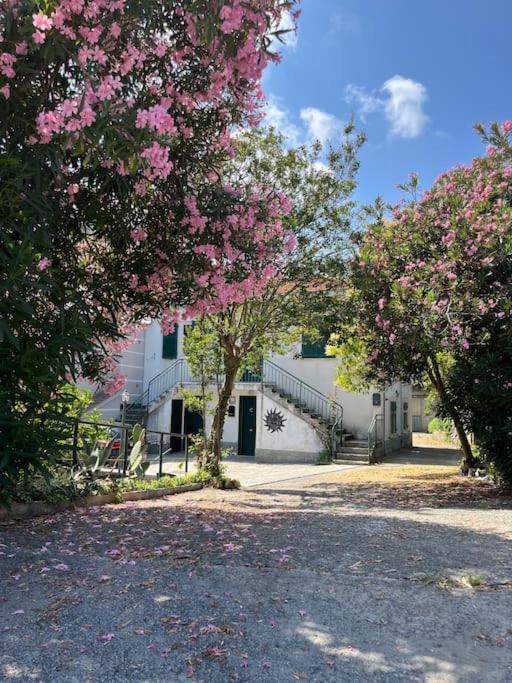 Appartamento in casa bifamiliare con giardino - B&B Celle Ligure