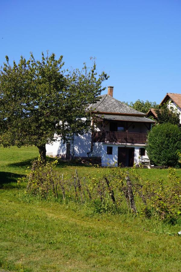 Romantisches Ferienhäuschen in den Weinbergen von Garabonc mit schöner Aussicht - Ferienwohnung