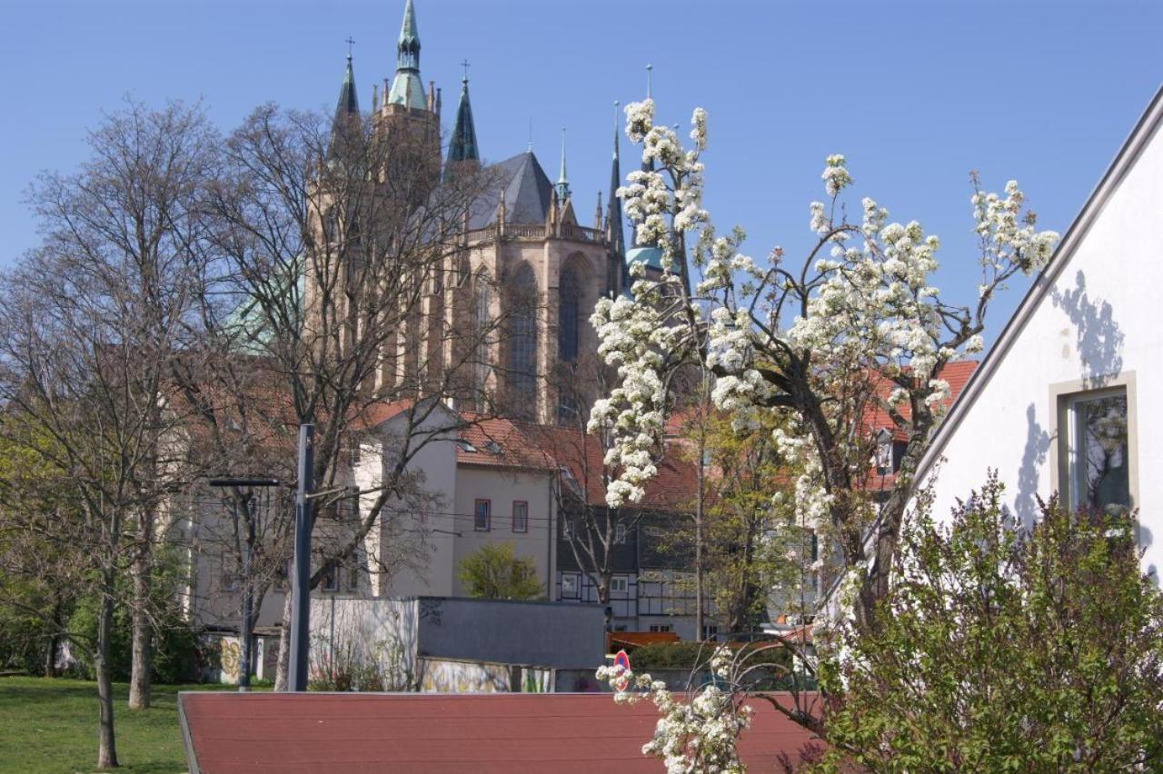 Hotelpension am Dom - Ferienwohnung