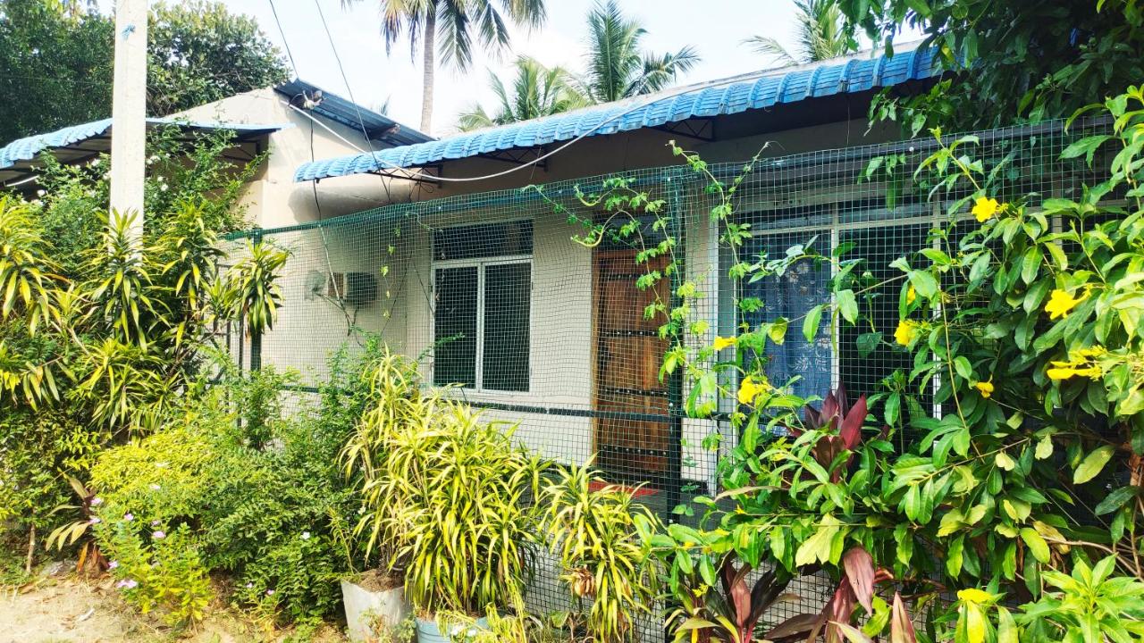 Gal Oya lakeside - B&B