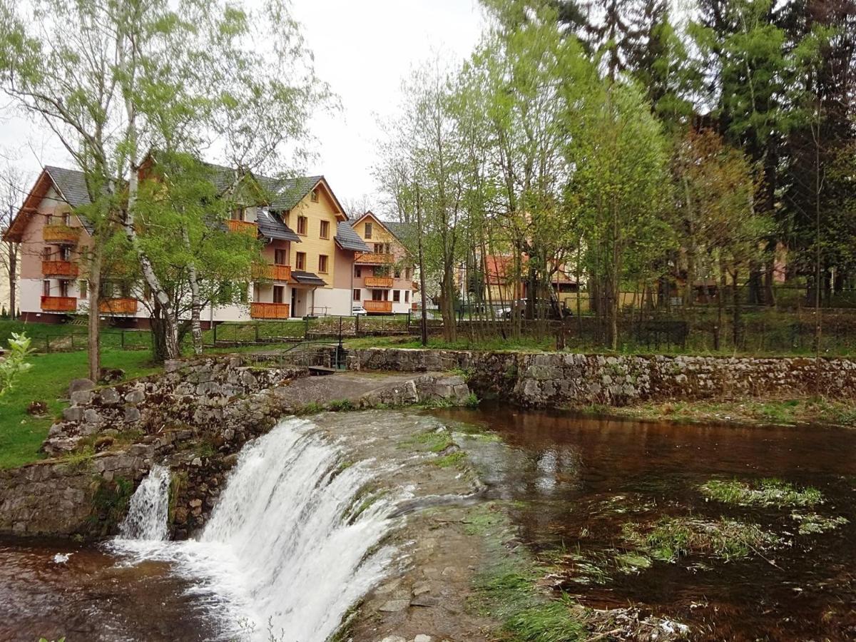 Apartamenty Sun&Fun Rezydencja Parkowa Nadrzeczna 3D i 3E -blisko centrum, dworca PKP w otoczeniu zieleni - B&B Karpacz