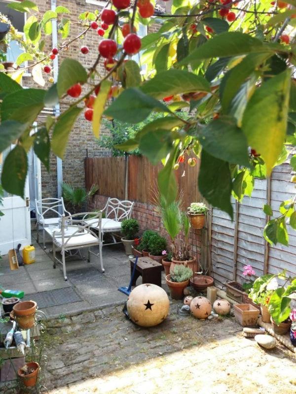 Cosy London double room near Wimbledon - Chambres d’hôtes