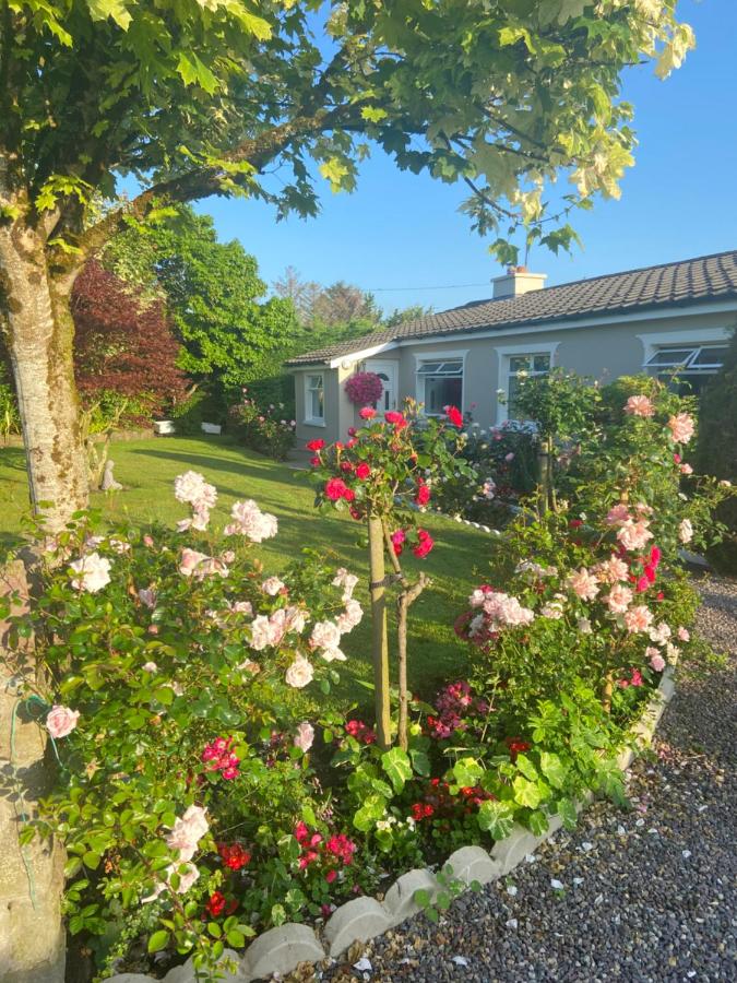 Tranquil Haven Home - Ferienwohnung Baile an Mhuilinn