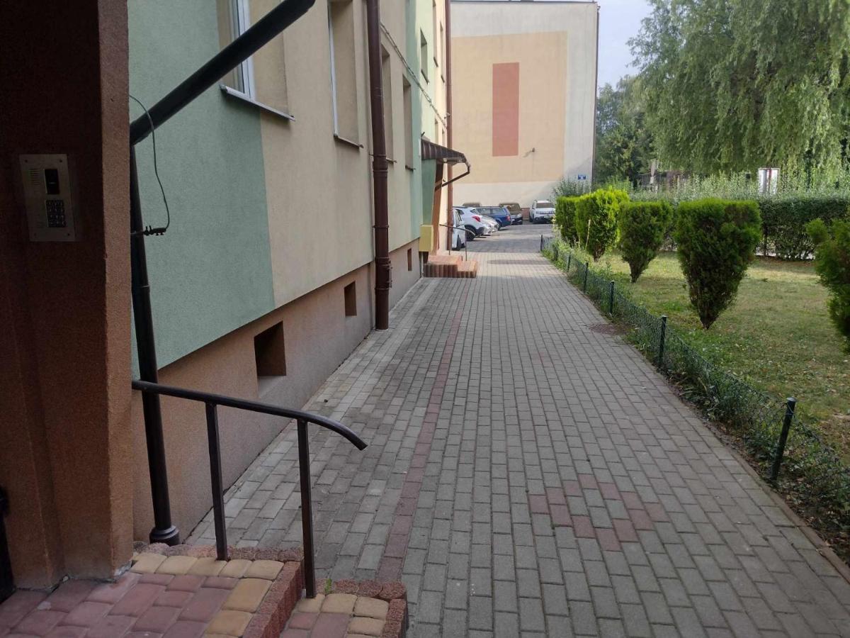 Apartament Premium - B&B
