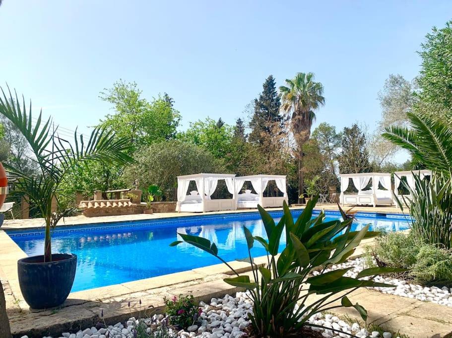Mateo mit Küche, stilvolles Ambiente, XXL Pool, ruhig - Ferienwohnung Manacor
