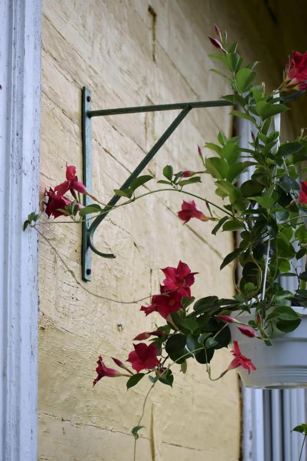Apartament w zabytkowym budynku - B&B