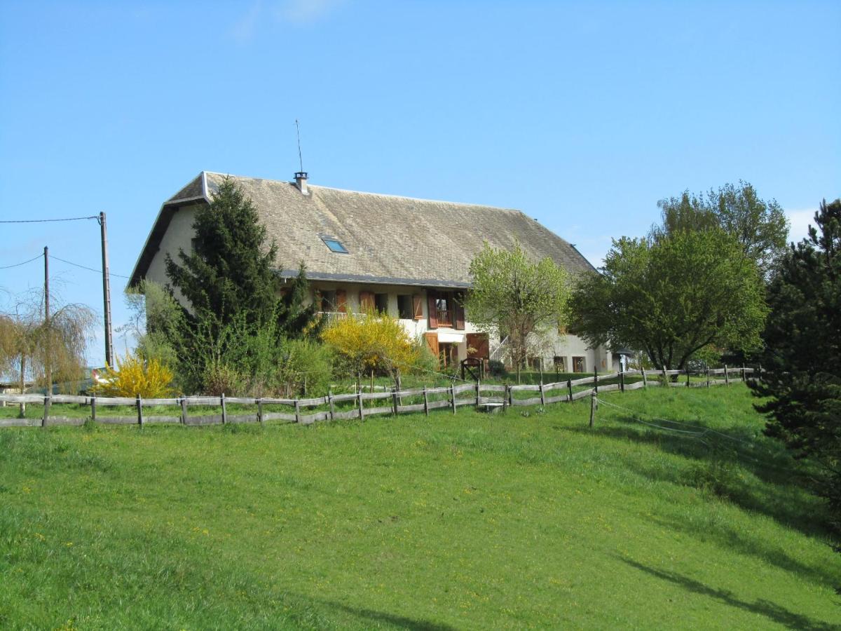 La chambre du Tilleul de la Tarte Qui Flette - B&B