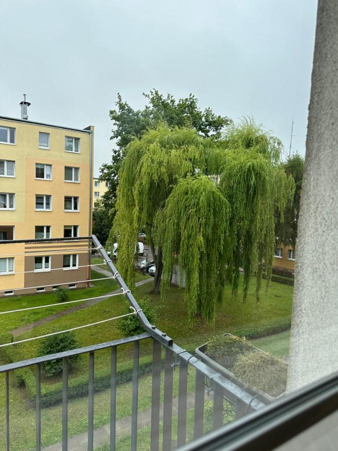 Apartament Bugaj - B&B