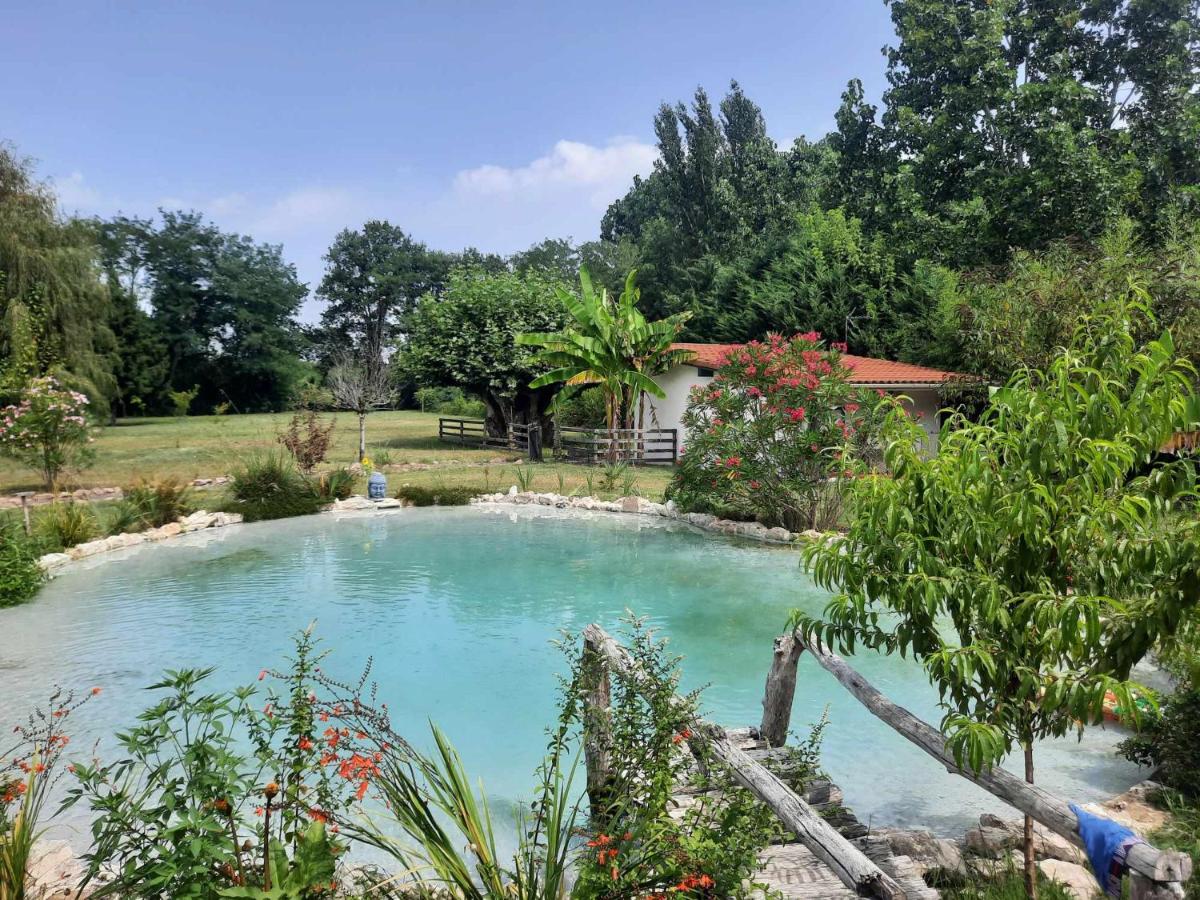 Studio au porte d'entrée de DAX - B&B Saint-Paul-lès-Dax