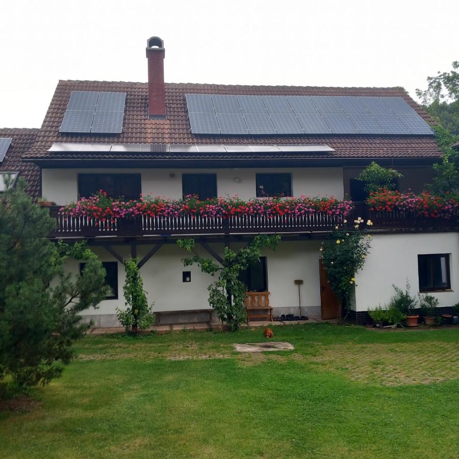 U tří jasanů - B&B