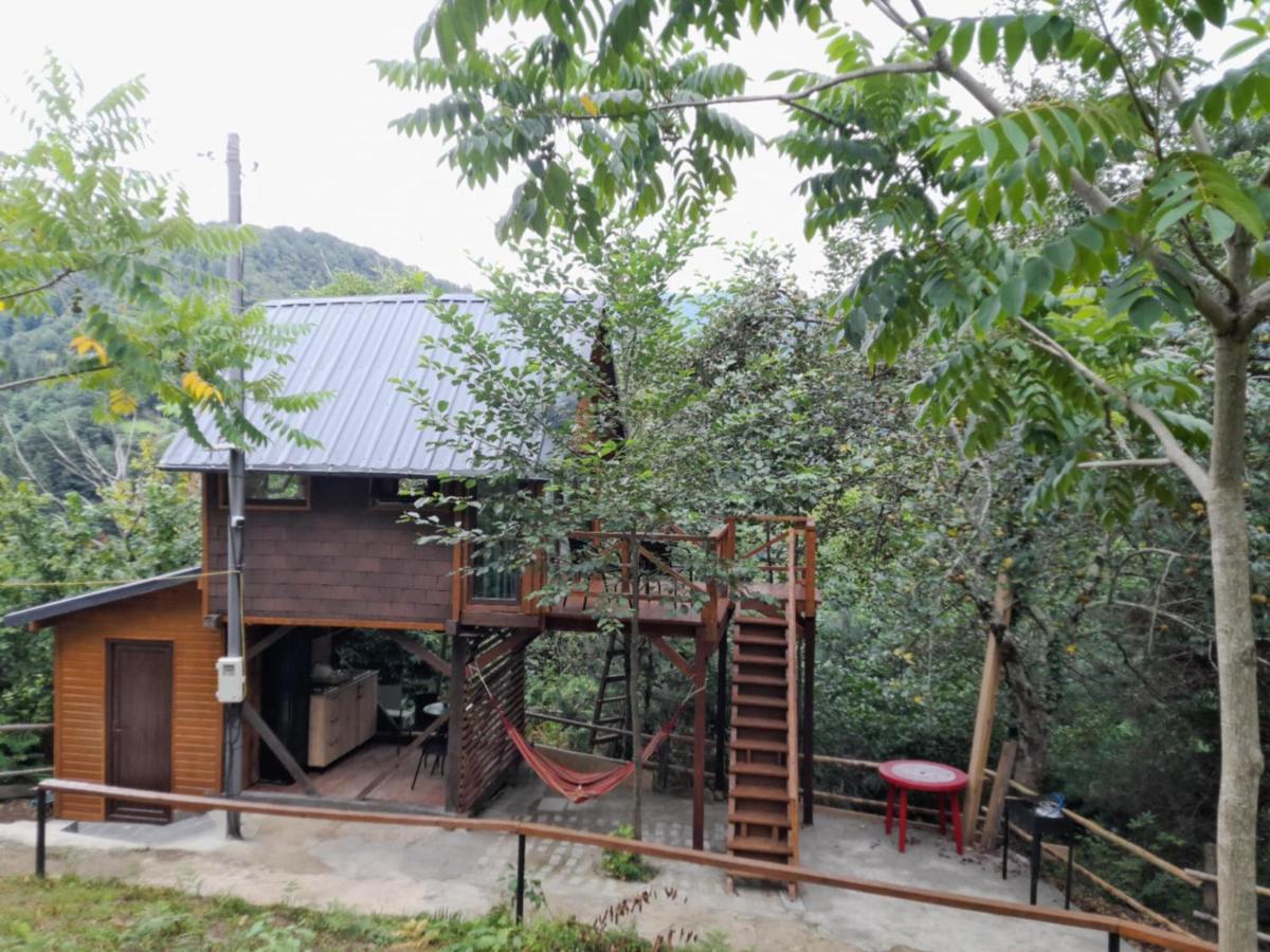 Chateau Maxuntseti - B&B Kveda Bzubzu