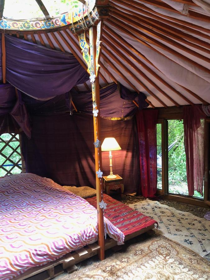 Yourte dans la forêt - B&B Rennes-les-Bains