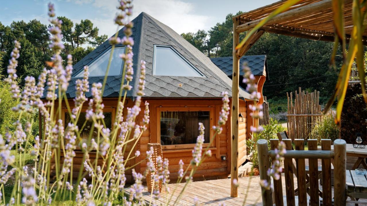 Cabane Spa belle étoile - B&B