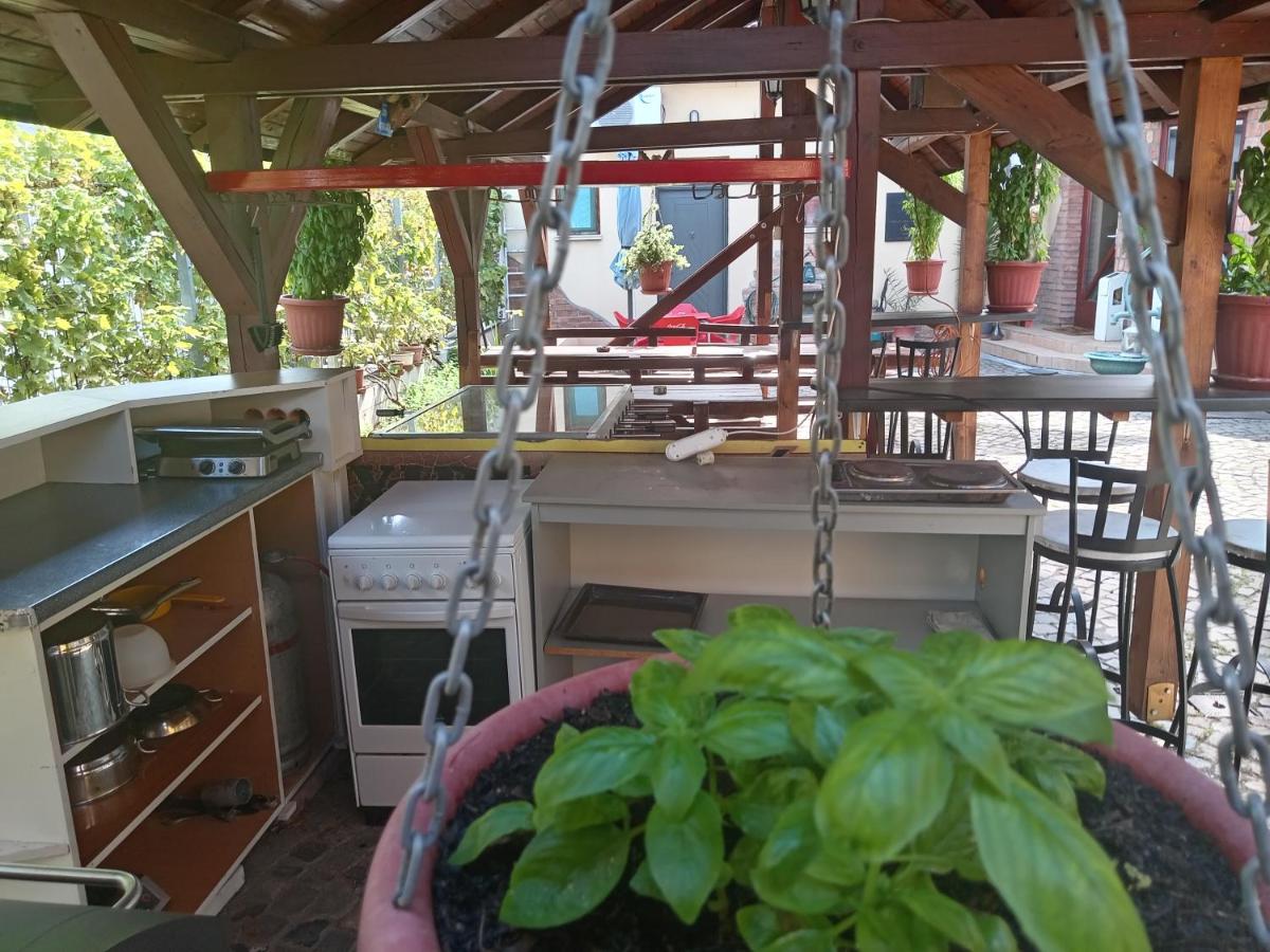 Appartement 1 Chambre avec Terrasse