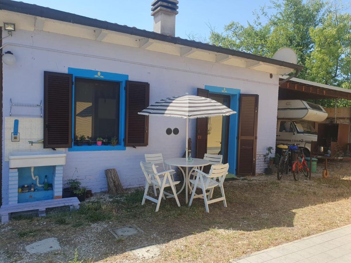 Loft immerso nel bosco - B&B Raffaello
