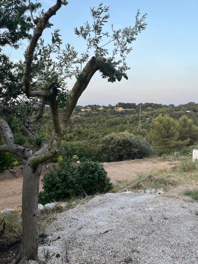 Havre de paix face a la Sainte Victoire - B&B Meyreuil