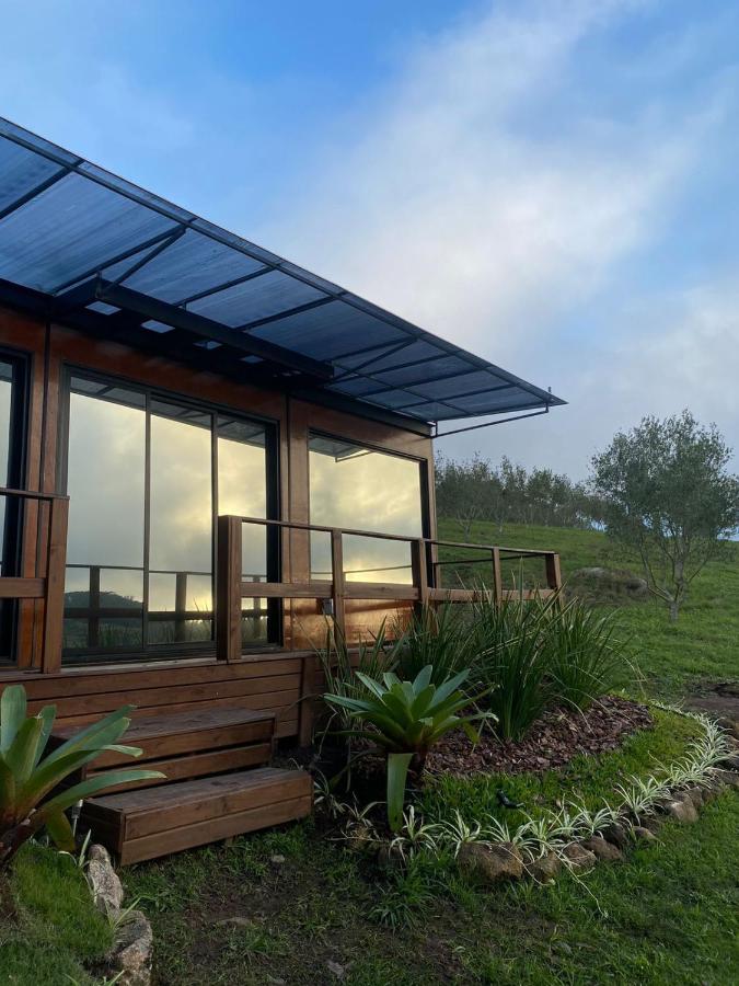Tiny House no Olival - B&B