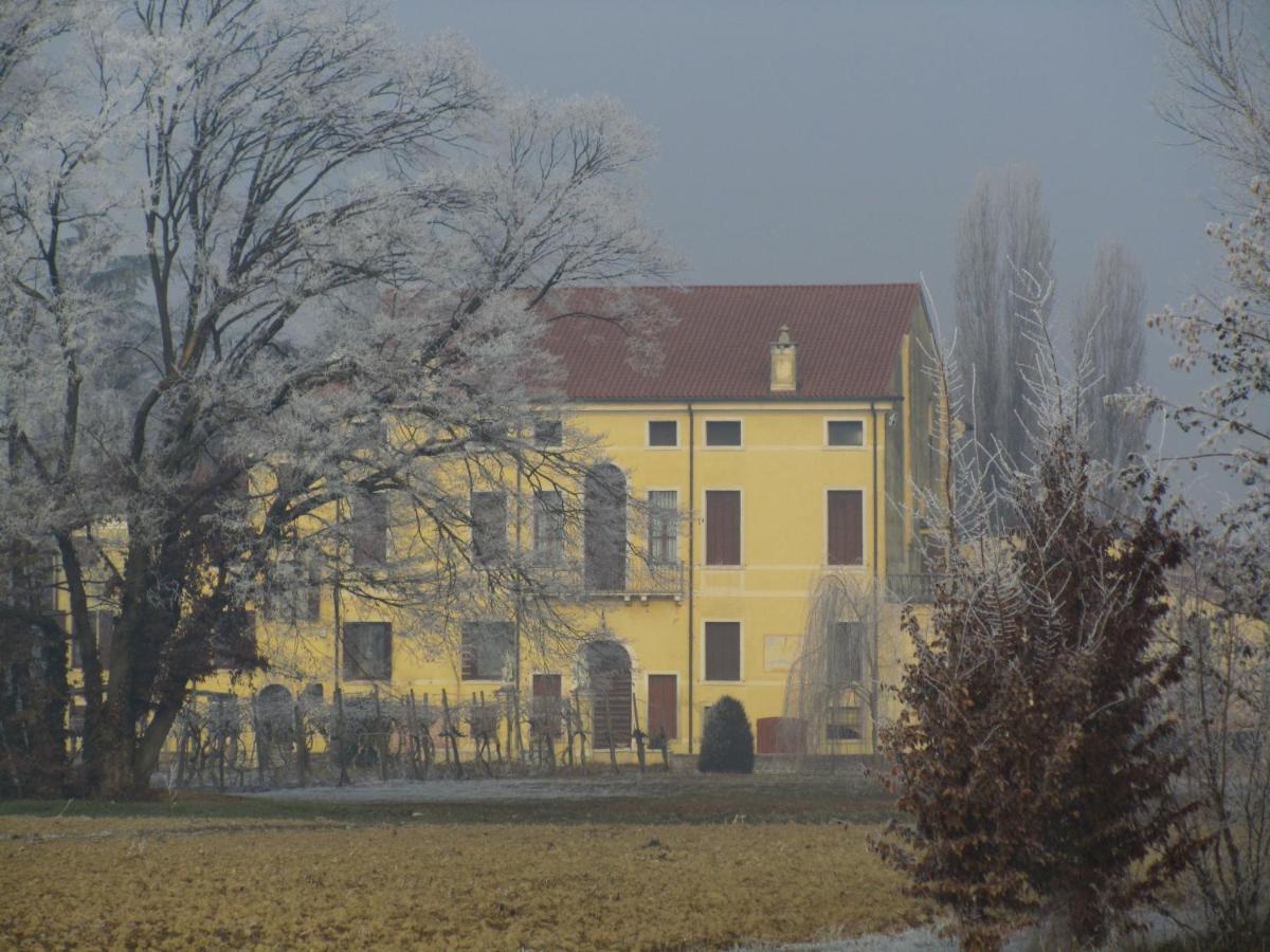 Agriturismo Villa Selvatico - Ferienwohnung Vigonza