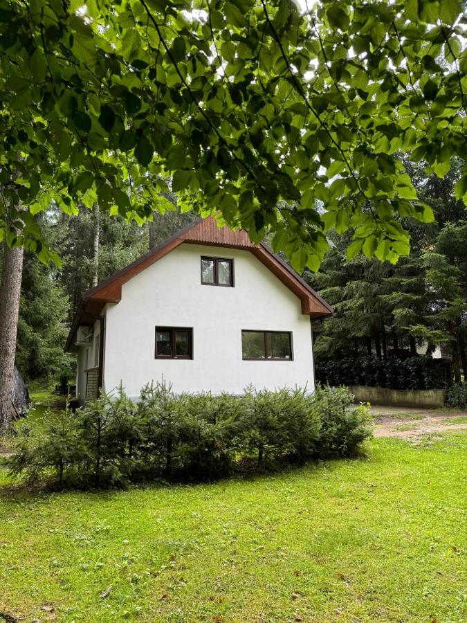 U LEDNÍHO MEDVĚDA - B&B