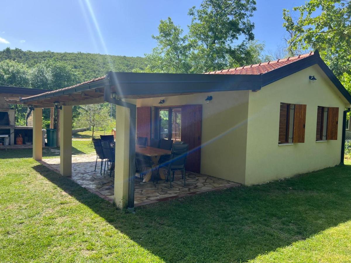 Guest house SARA - B&B