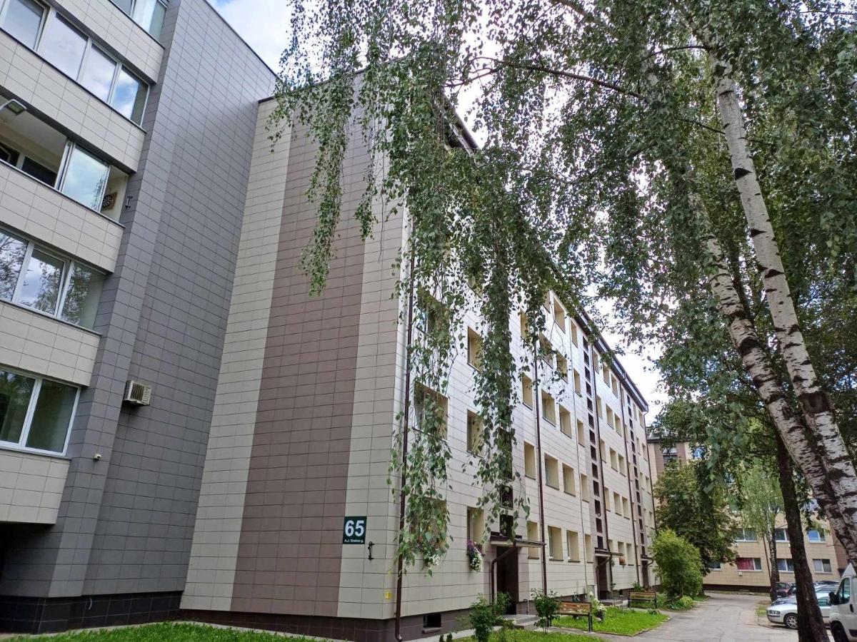 Cozy Studio Apartment in the City Center - Ferienwohnung Šiauliai