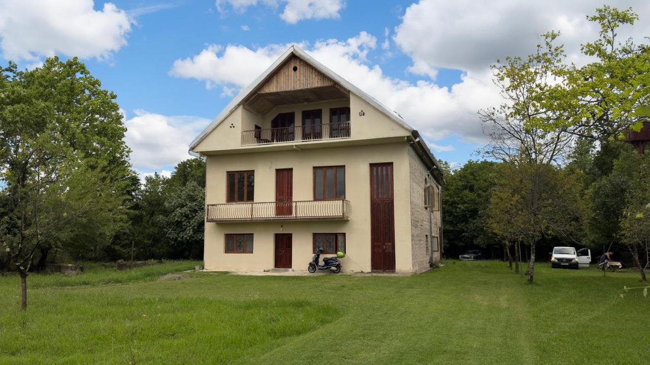 дом в лесу - B&B
