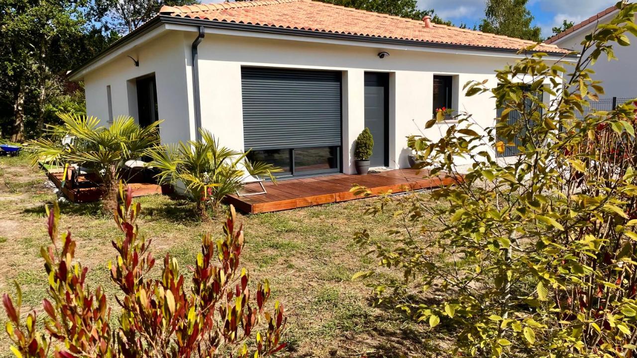 Maison Parentis en Born - Chambres d’hôtes