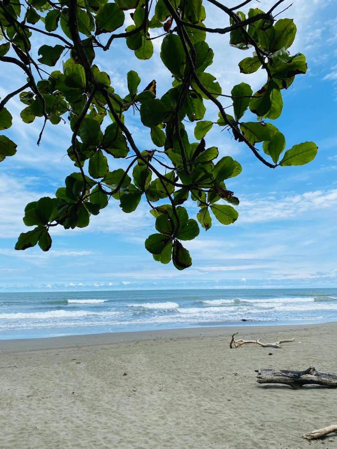 Casa début Surf Place - B&B Parrita