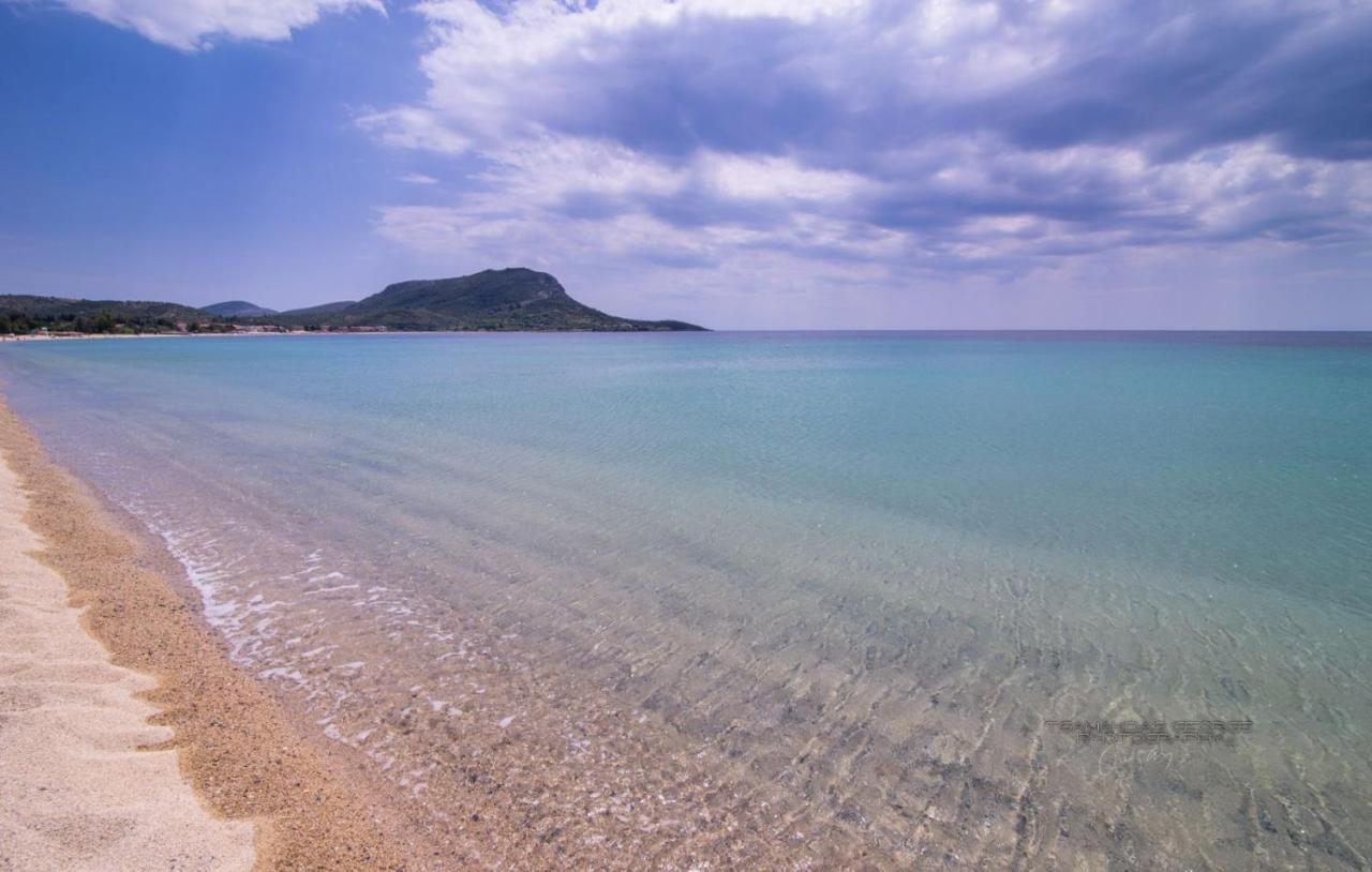 Amadeus Golden Resort - B&B Toroni