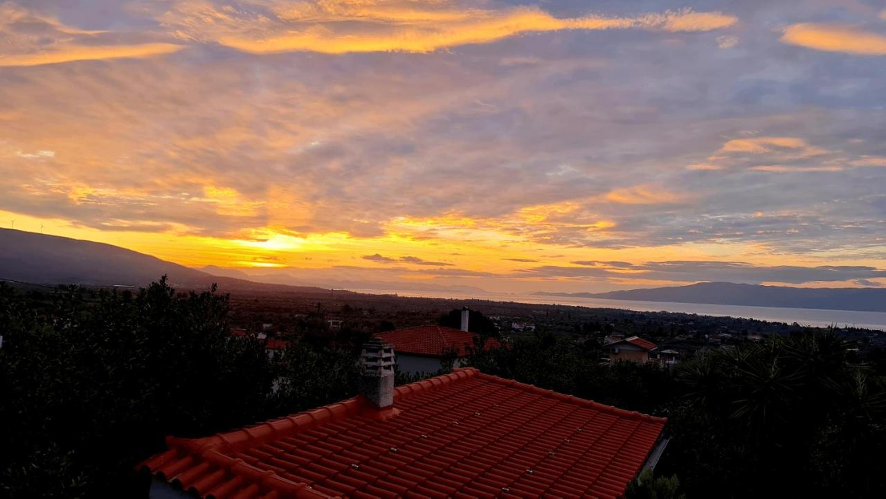 Cezar Villa - B&B Eretria