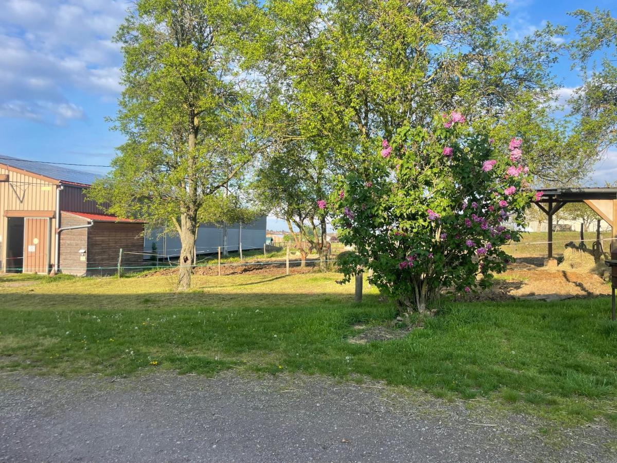 Ferme Équestre - Vue Unique sur les Chevaux - B&B Wangen