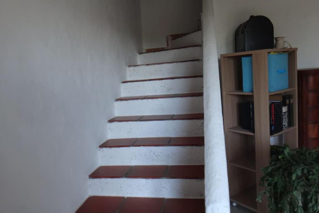 Coquet et spacieux Appt 3 chambres dans villa avec terrasse et jardin - B&B