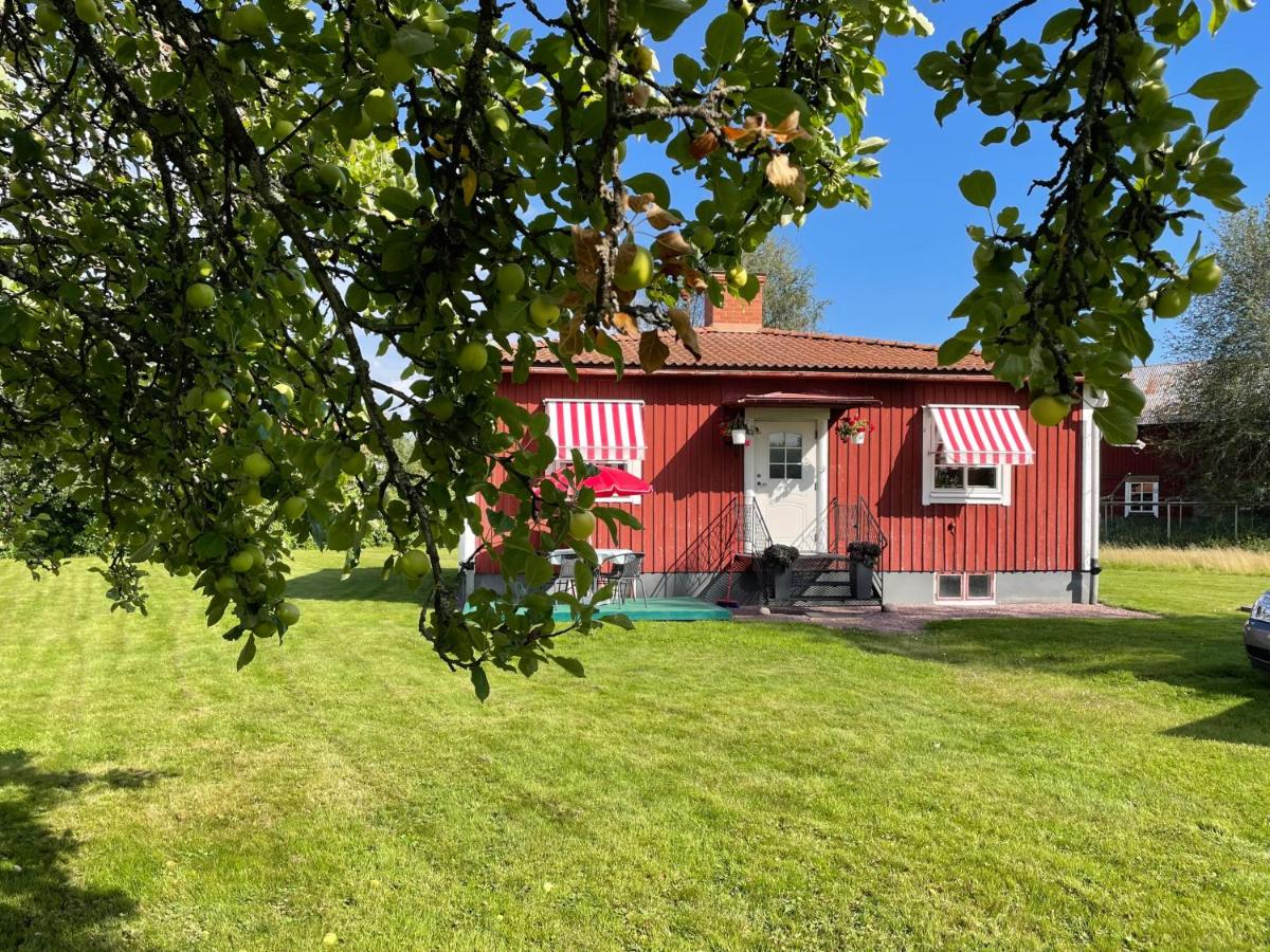 Bubo mysigt litet hus i Noret - B&B