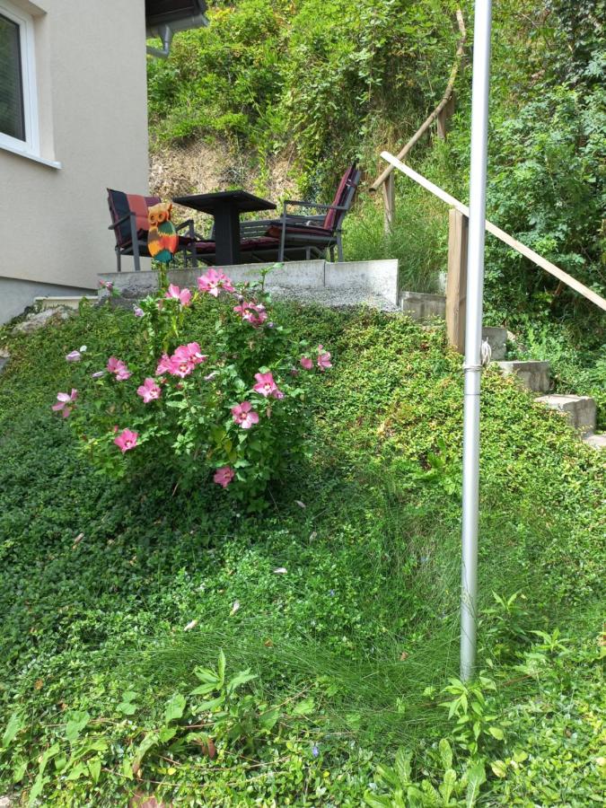 Alpenblick Ferienwohnung und Monteurzimmer - B&B Oberbuchsiten