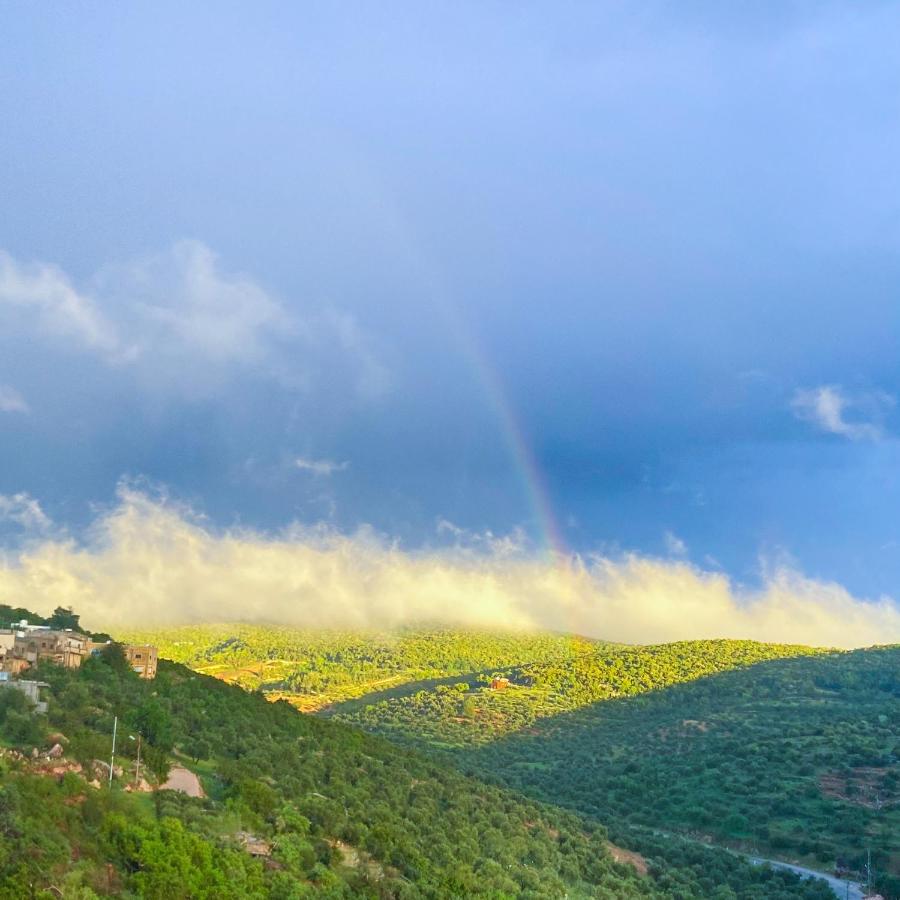 روابي عجلون منزل - Bed and Breakfast ‘Ajlūn