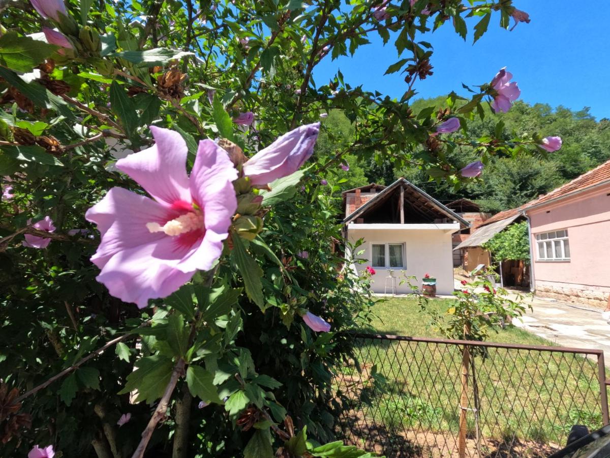 Mokino bunarče - B&B