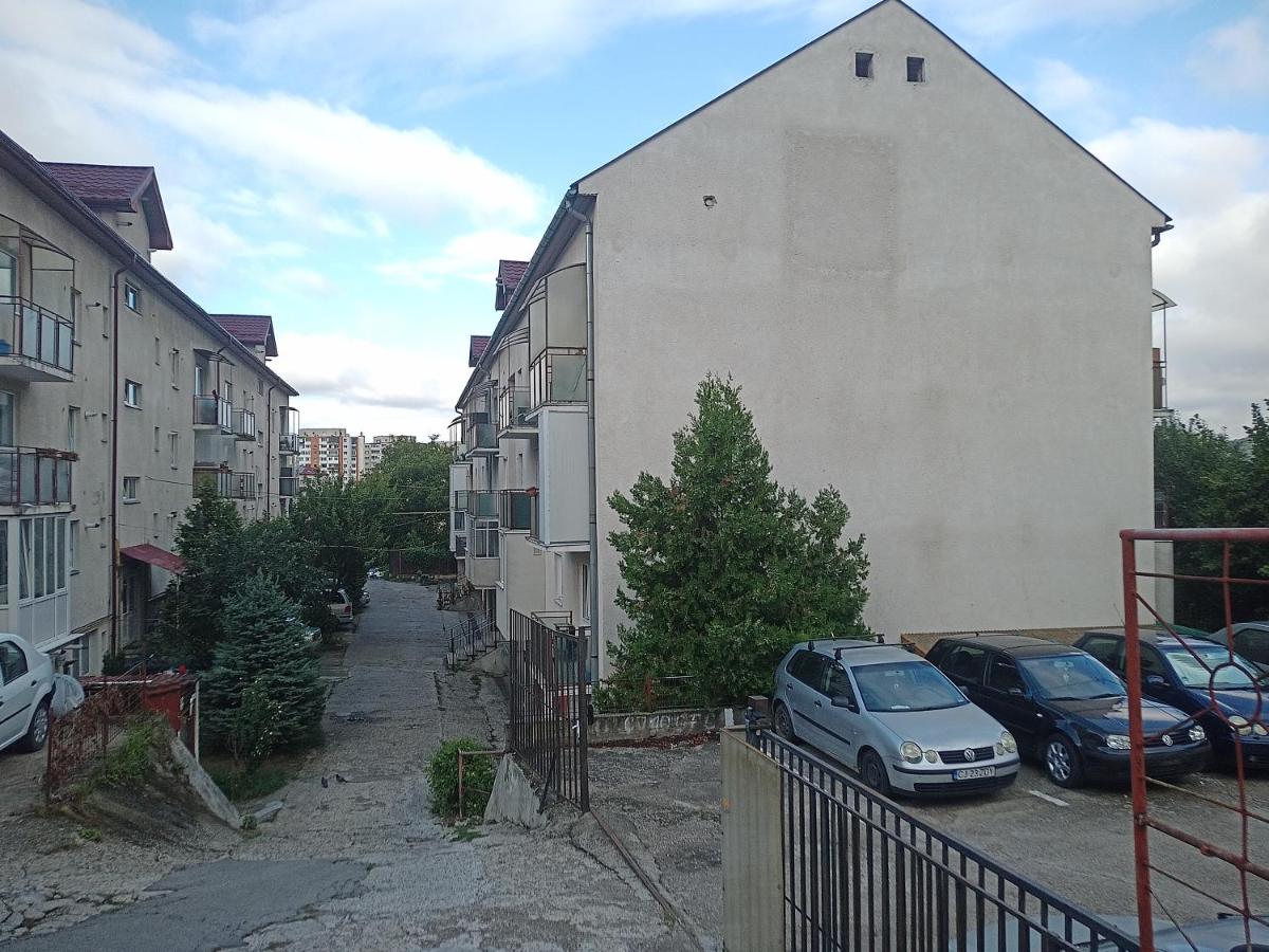 Smart Cozy apartament - B&B