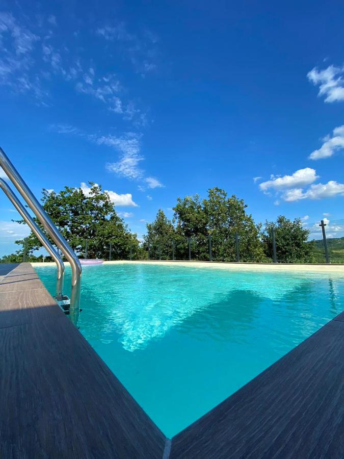 Atalanta luxury house Fruška gora - B&B