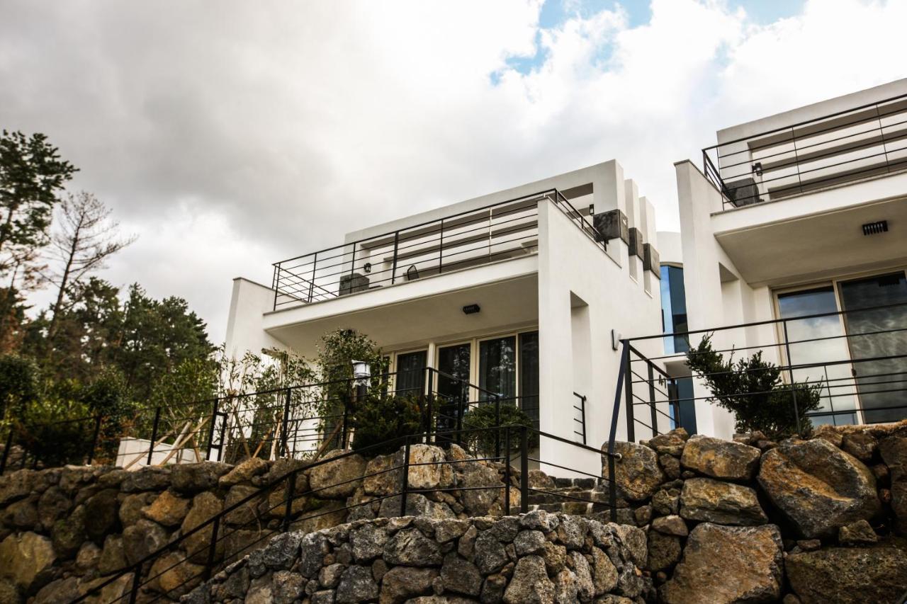 The Stay Christmas - B&B Jeju