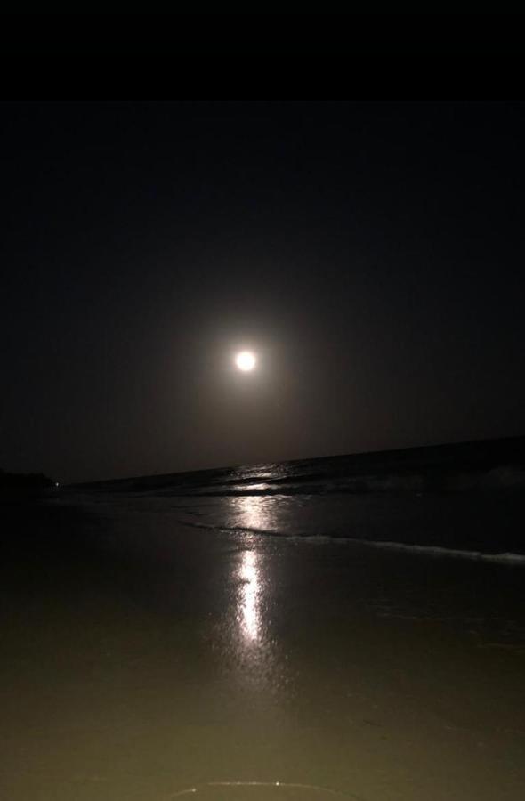 Loft Terra Casa na Árvore - B&B Caravelas